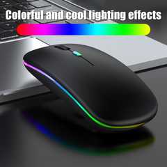 HP Wireless Mouse W10